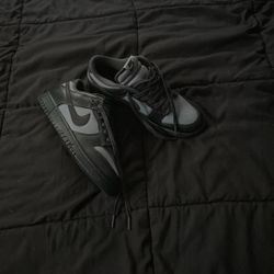 Nike Dunks 