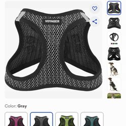 Dog Harness 