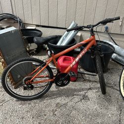 Mountain Bike & Cruiser