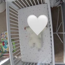 Babyletto Gelato Crib & Toddler Bed