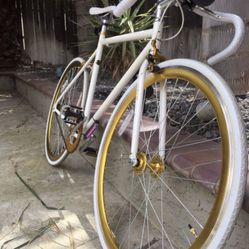 Fixie Bike 
