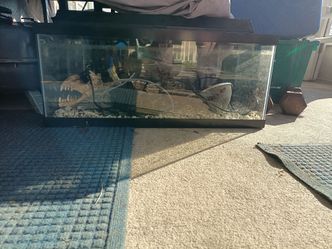 2ft 6inch Long / 1 Ft Tall Aquarium Tank