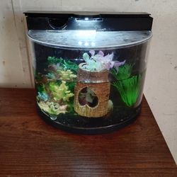 Fish Tank 