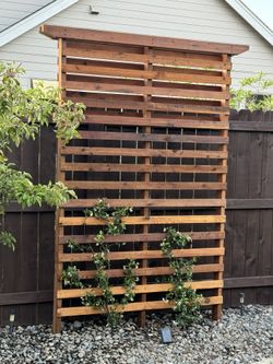 Privacy Trellis 5x8