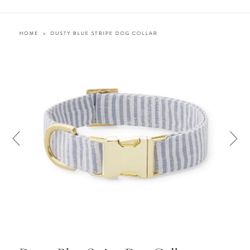 The Foggy Dog - Blue Stripe Collar (size M)