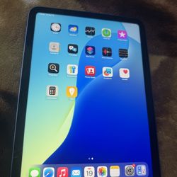 iPad 10 Generation Brand New No Scratches Mint Condition 