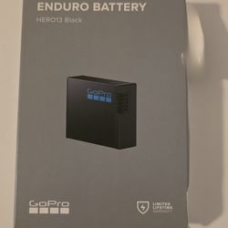 Go pro battery