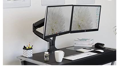 Dual screen mount