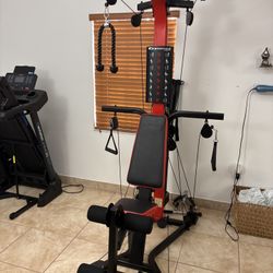 Bowflex PR-3000 Home Gym