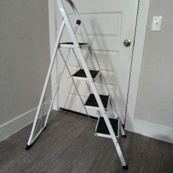 indoor/outdoor ladder up to 330lb capacity