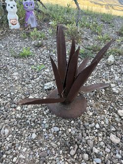 Rustic Metal Century Plant Project