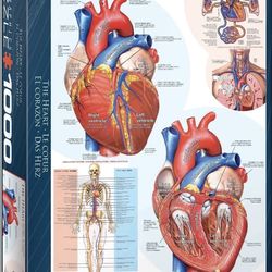The Heart 1000 Piece Jigsaw Puzzle Eurographics Used 1x