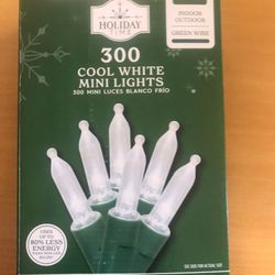 Christmas Outdoor 300 Warm white Lights 