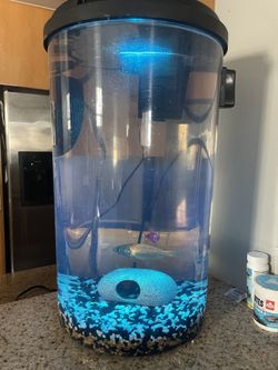 6 Gallon Aquarium Fish Tank