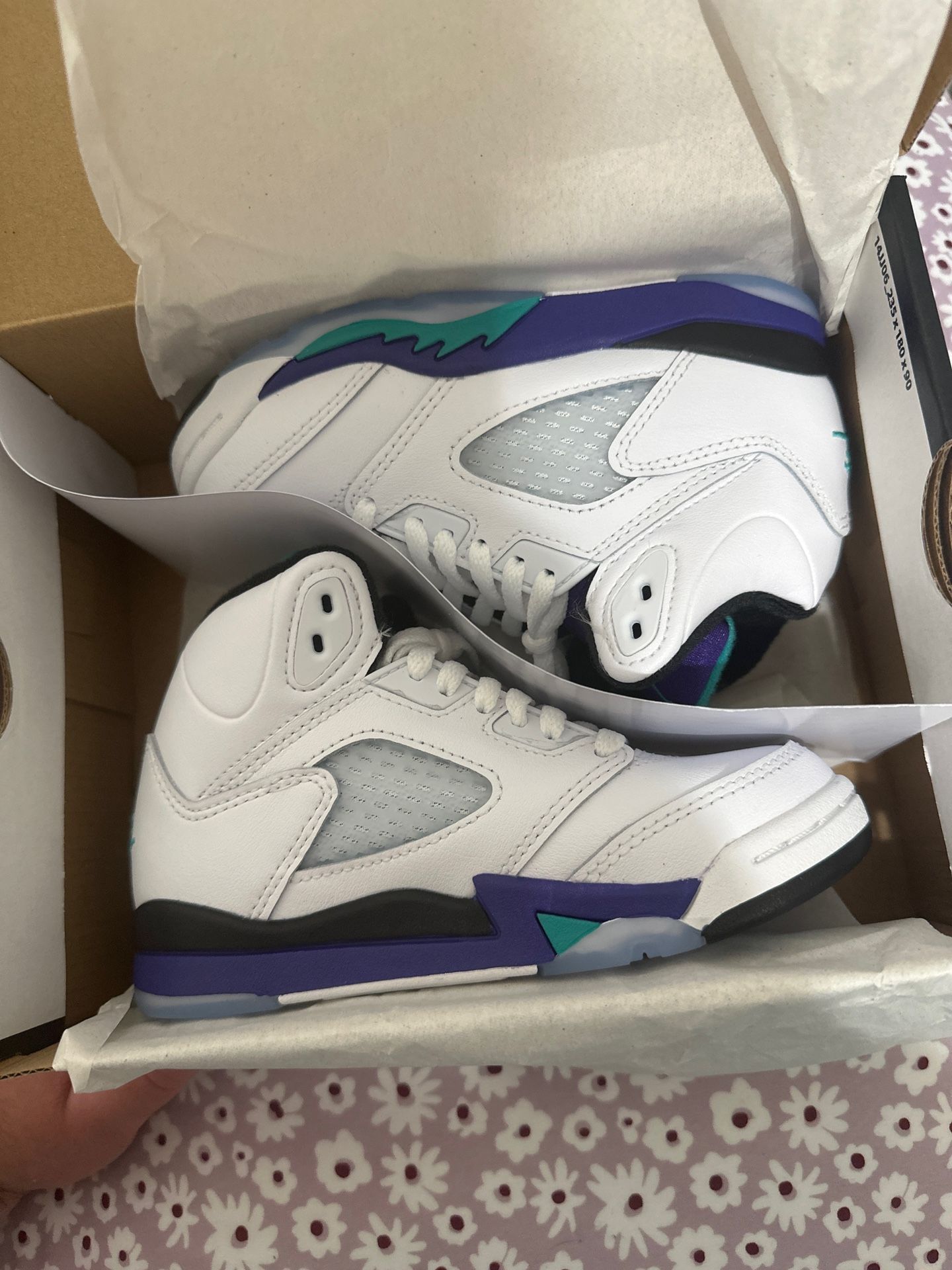 Jordan Grape 5s Size 12