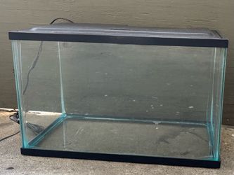 5 Gallon Aquarium