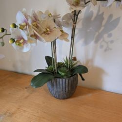 Orchid Flower Vase