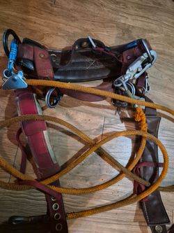 Tree climbing gear