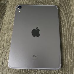iPad Mini 6 Unlocked Not Working 