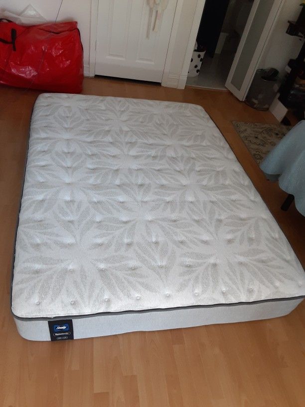 Mattress Queen Firm
