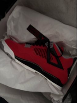 Toro Bravo 4s (2026) DS