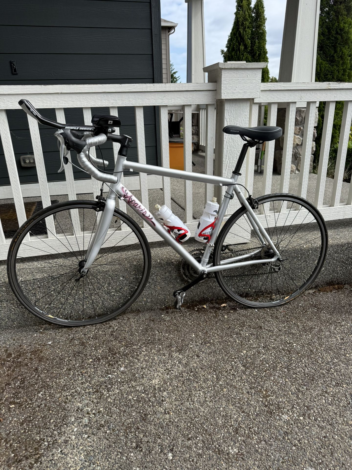 Specialized Allez Road Bike. Custom