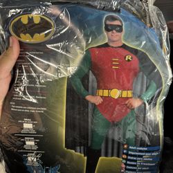 Robin Halloween costume