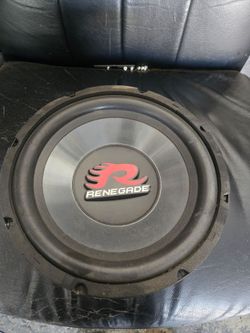 Renegade 10" subwoofer