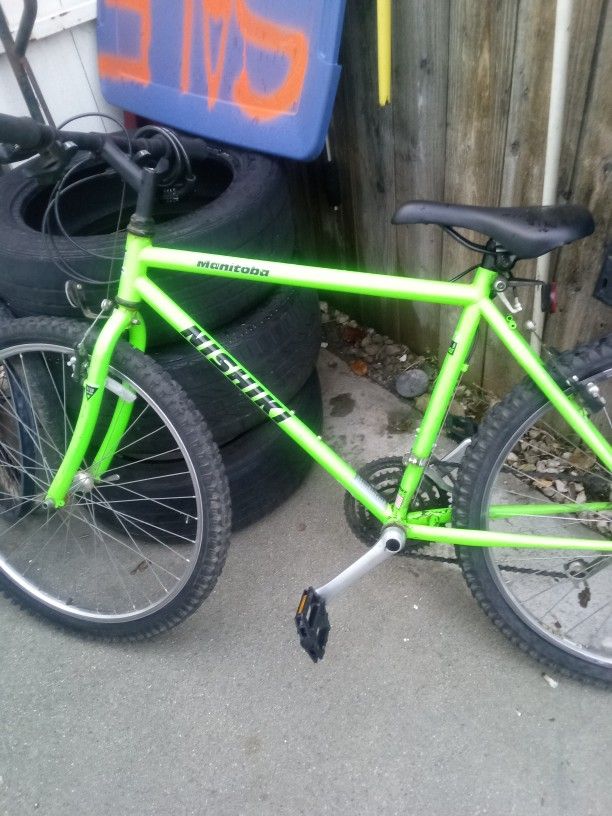 Nishiki  Bike