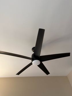 Ceiling fan