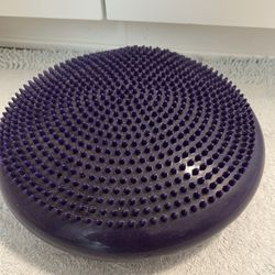 Small Sports Health Disc