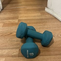 10 Pound Dumbbells 