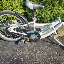 Wee Rider /assisted Co-pilot