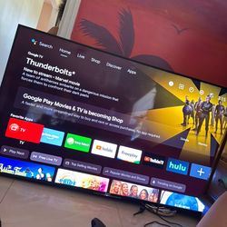 Sony Bravia 55 inch TV