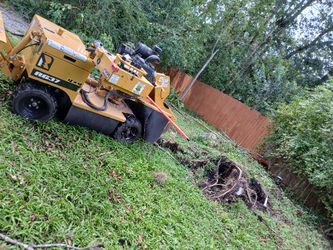 Corto Arboles Muelo Troncos