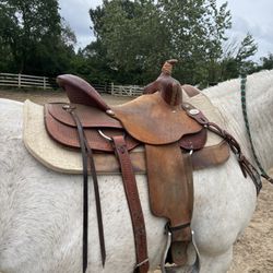 Barrel Sadddle / All Around 