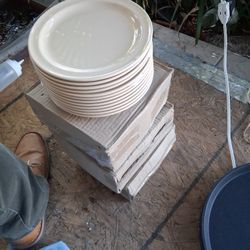 Plastic Plate 8" Inch