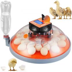 Egg Incubator, Incubators for Hatching Eggs, Automatic Egg Turner with Temperature and Humidity Control, 24 Eggs Poultry Hatcher with ABS Transparent 