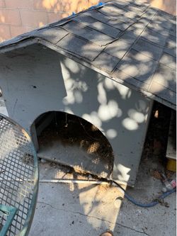 Tortoise house and