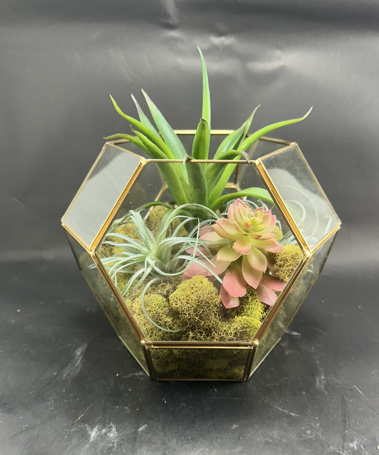 Geometric Brass & Glass Plant Terrarium with Fake Succulents