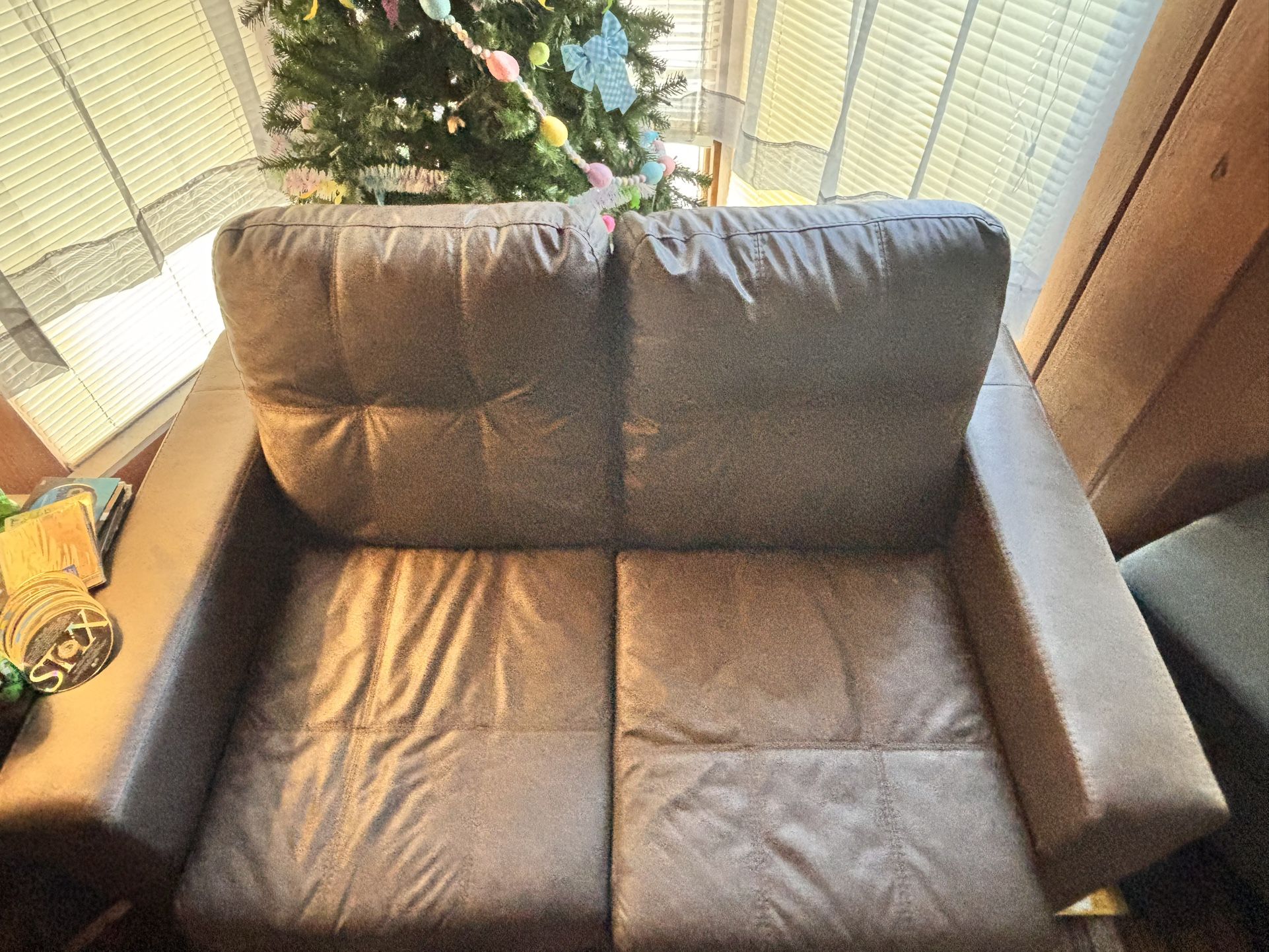 Love Seat And Couch