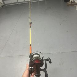 Salt Water Fishing Poll 