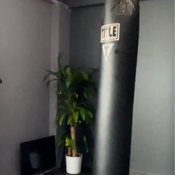 100lb Heavy Bag 