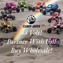 48 Volt 48V 2 X24v Batteries Can am Ride On Touch TV Rubber Tires Leather seat 