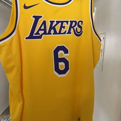 Nike LeBron James Jersey #6 - XL (New with tags)