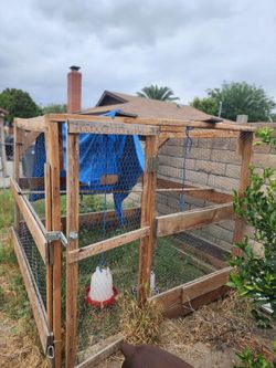 Chicken cage
