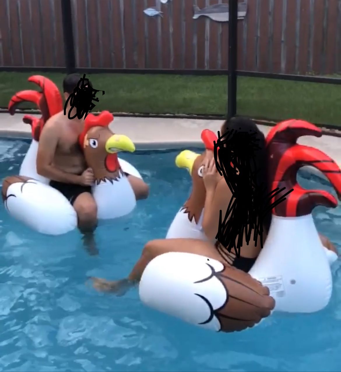 Chicken Fight Inflatable- Pool