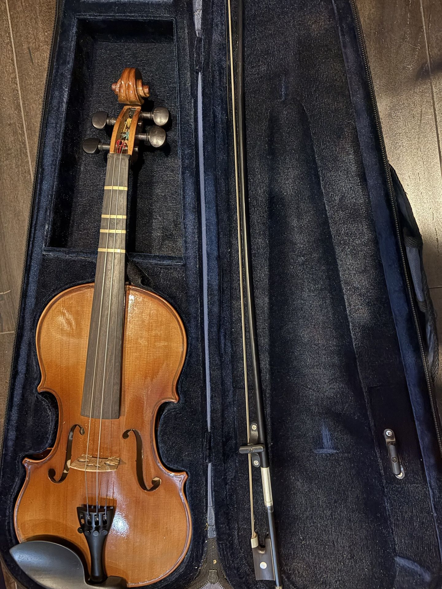Violin