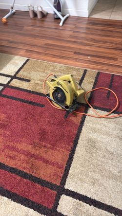 Circular saw