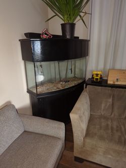 Aquarium